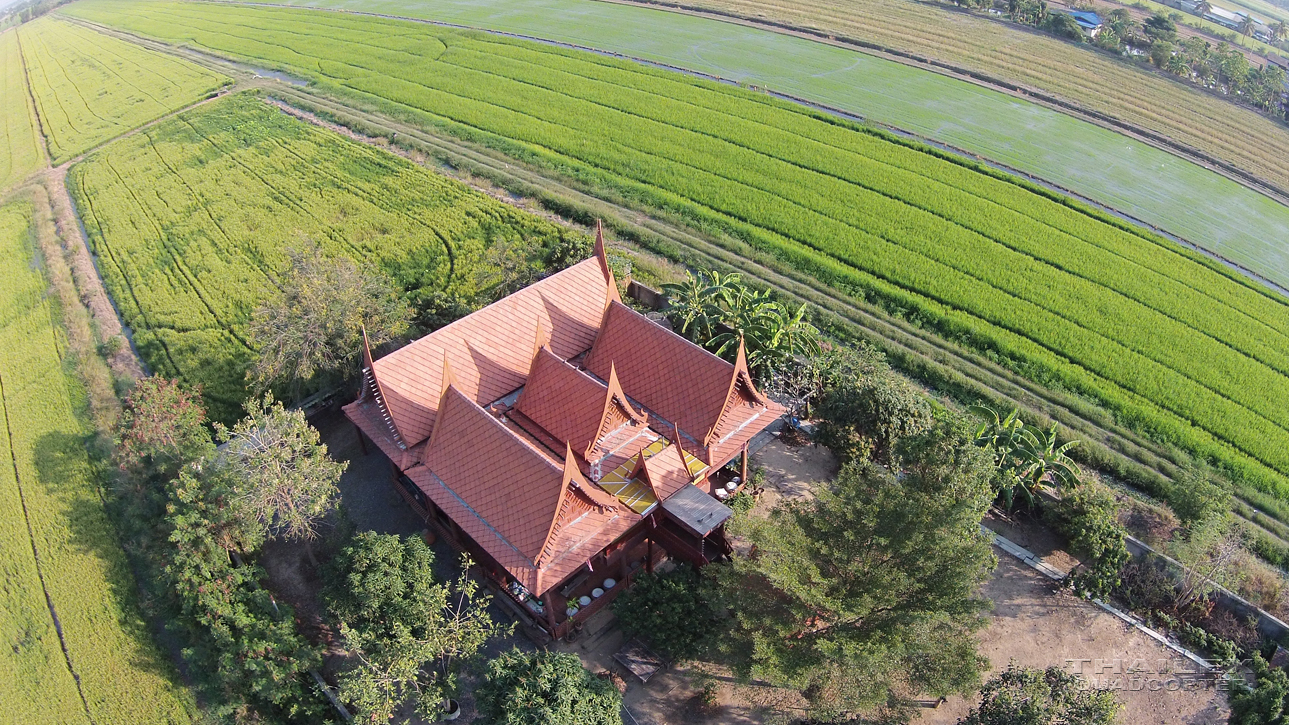 Traditional Thai House at Rice Fields (͹㹷觢)