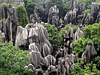 Stone Forest, China