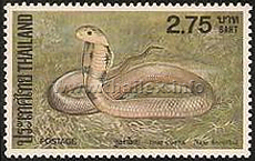 Indochinese Cobra (Naja kaouthia)