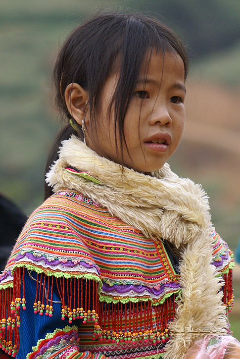 Flower Hmong Girl