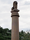 Asoka Pillar (single lion)