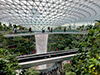 Jewel Changi Airport