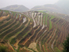 Long Yi rice terraces