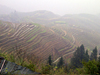 Long Yi rice terraces