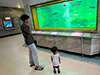 Roi Et Municipality Aquarium