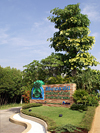 Sirinat Rachini Mangrove Eco-system Learning Center