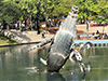 The Whale
