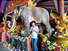 Wat Laksi Raht Samohson (White Elephant)