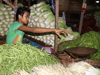 Yangon Fresh Market