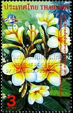 Frangipani, Laos' national flower