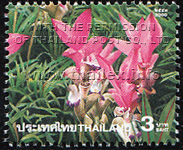 Amazing Thailand (3rd Series) - Siam Tulips