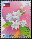 Arabian Jasmine (Jasminum sambac) national flower of the Philippines
