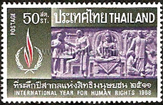 International Human Rights Year