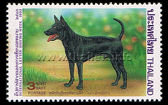 International Letter Writing Week - Siamese Dogs