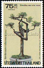 International Letter Writing Week 1981 - Dwarfed Bonsai Trees