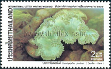International Letter Writing Week - Corals