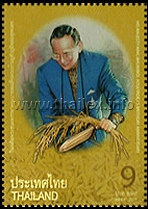 King Rama IX collecting some rice plants of which the grains will be used in the Royal Ploughing Ceremony