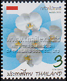 White Moth Orchid (Phalaenopsis amabilis) national flower of Indonesia