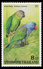 Thai Parrots