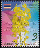 Ratchaphreuk (Cassia fistula) national flower of Thailand