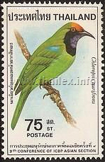 Thai Birds (4th Series)