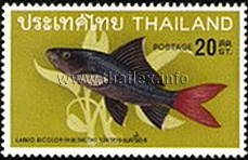 Thai Fish (2nd Series)