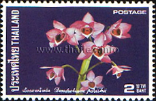Thai Orchids (3rd Series)