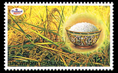 rice as staple food