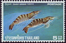 Thai Crustaceans
