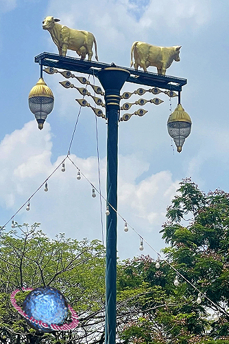Cow Street Lantern, Tambon Mittraphap, Amphur Muak Lek, Saraburi