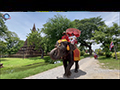 Ayutthaya Elephants and Wat Phra Ram