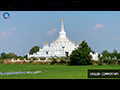 Beacon of the Dhamma amidst Saraburi's Verdant Paddies
