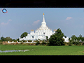 Beacon of the Dhamma amidst Saraburi's Verdant Paddies