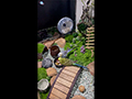 Chinda, Moshi and Garuda in Japanese Rock Garden