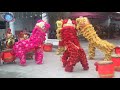 Chinese Lion Dance (Hue)