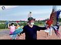 Free-flying Pet Parrots Club