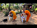 Shaving for the Robe: Village Boys' Ordination at the Forest Temple