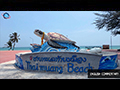 Thai Meuang Beach, Nesting Ground of the Majestic Sea Turtles
