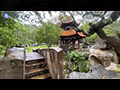 Thai-Chinese Rock Garden and Arboretum