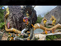 Wat Phu Taphao Thong and a Kaleidoscope of Butterflies