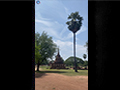 Sukhothai’s Wat Sorasak: A Stupa Surrounded by White Elephants