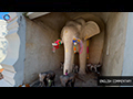 The White Elephants Monument, Chiang Mai Sacred Giants