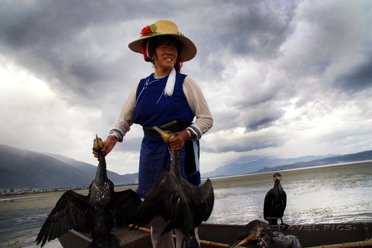 Cormorant Fishing, Dali (China)