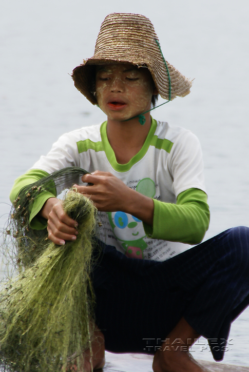 Net Fishing, Inle Lake (Myanmar)